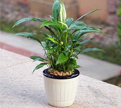 ��ҳ| 918�����ü����й��ٷ���վ