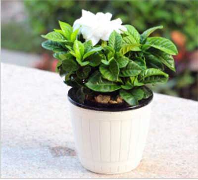 ��ҳ| 918�����ü����й��ٷ���վ