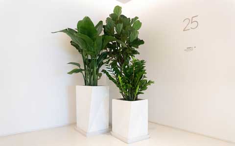 ��ҳ| 918�����ü����й��ٷ���վ