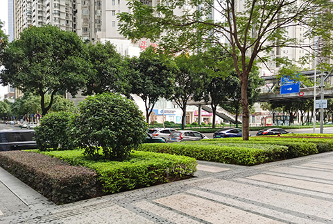 ��ҳ| 918�����ü����й��ٷ���վ