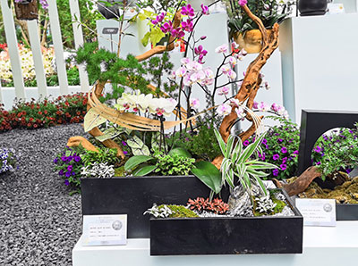 ��ҳ| 918�����ü����й��ٷ���վ