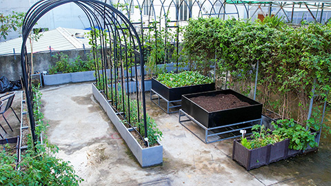 ��ҳ| 918�����ü����й��ٷ���վ