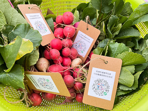 ��ҳ| 918�����ü����й��ٷ���վ