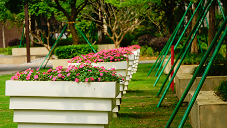 ��ҳ| 918�����ü����й��ٷ���վ