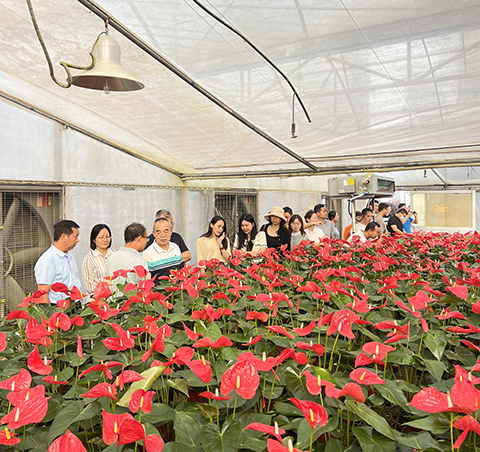 ��ҳ| 918�����ü����й��ٷ���վ