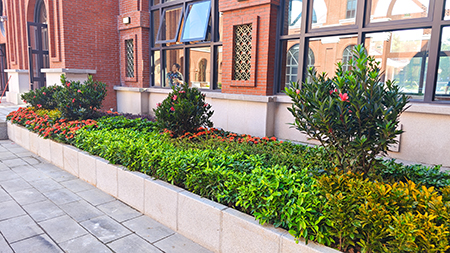 ��ҳ| 918�����ü����й��ٷ���վ