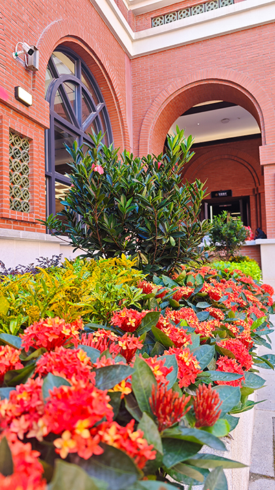 ��ҳ| 918�����ü����й��ٷ���վ