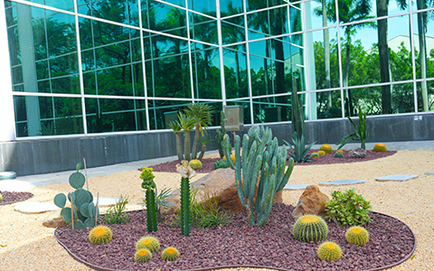 ��ҳ| 918�����ü����й��ٷ���վ