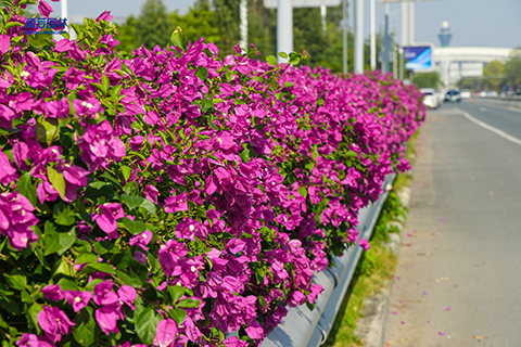 ��ҳ| 918�����ü����й��ٷ���վ