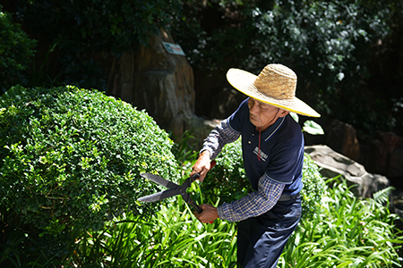 ��ҳ| 918�����ü����й��ٷ���վ