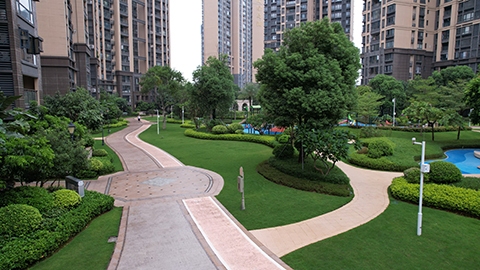 ��ҳ| 918�����ü����й��ٷ���վ