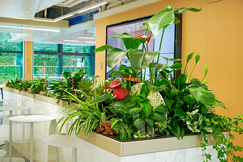 ��ҳ| 918�����ü����й��ٷ���վ