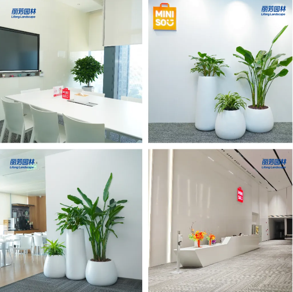 ��ҳ| 918�����ü����й��ٷ���վ