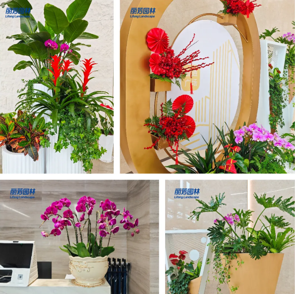 ��ҳ| 918�����ü����й��ٷ���վ