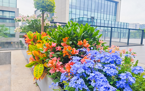 ��ҳ| 918�����ü����й��ٷ���վ