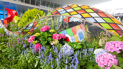 ��ҳ| 918�����ü����й��ٷ���վ