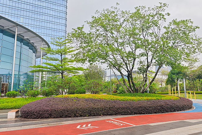 ��ҳ| 918�����ü����й��ٷ���վ