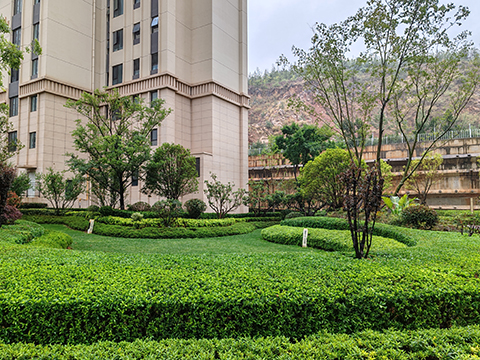 ��ҳ| 918�����ü����й��ٷ���վ