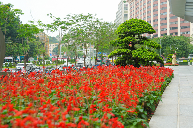 ��ҳ| 918�����ü����й��ٷ���վ