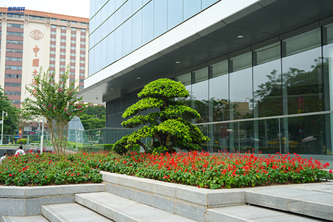 ��ҳ| 918�����ü����й��ٷ���վ