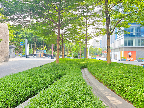 ��ҳ| 918�����ü����й��ٷ���վ