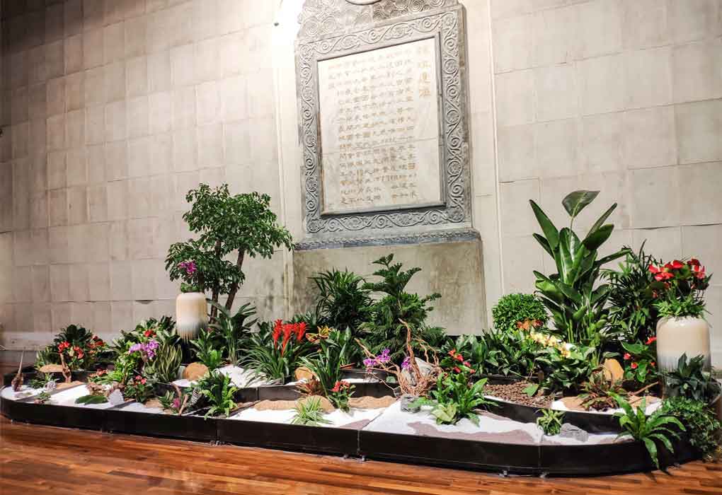 ��ɽ��������ֲ������Ŀ