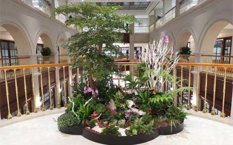 ��ҳ| 918�����ü����й��ٷ���վ