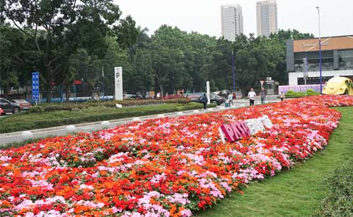 �̳��ұ��̻�����