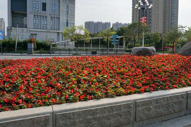 ����··�̻�����