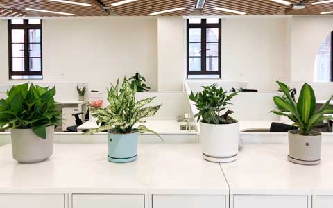 �칫������ֲ����ô������������ǧ��Ҫ����