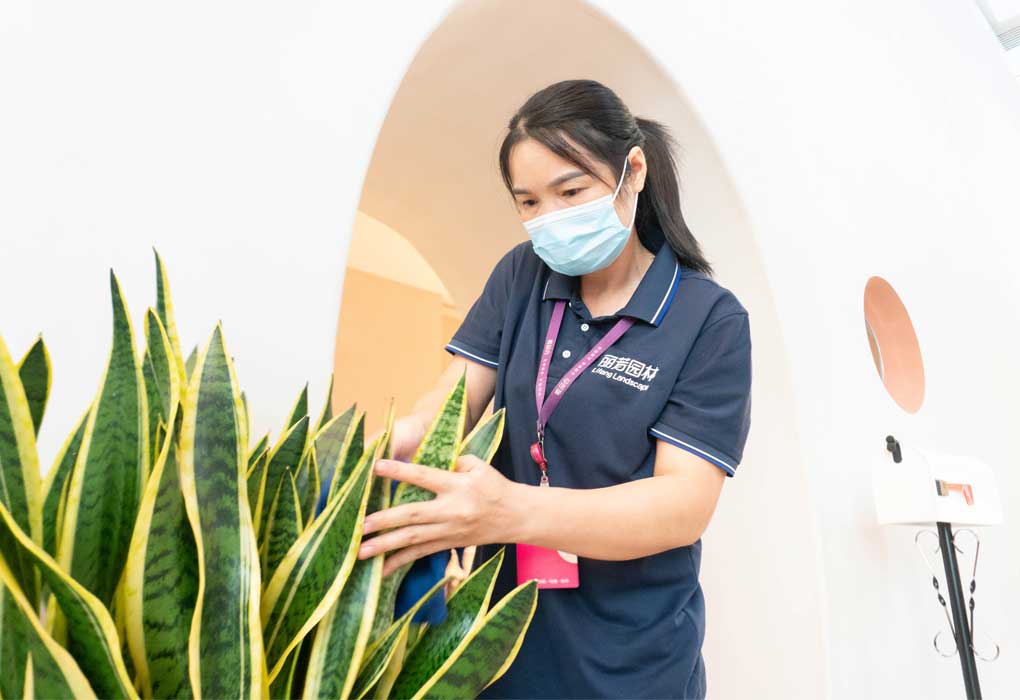 ΨƷ���ܲ���¥