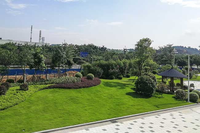 LG Display��CO�������̻�����