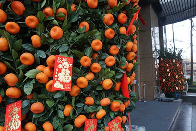 ���������껨��۰ڷ�