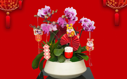 ��ҳ| 918�����ü����й��ٷ���վ