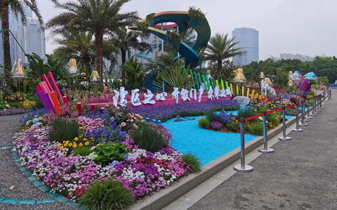 ��ҳ| 918�����ü����й��ٷ���վ