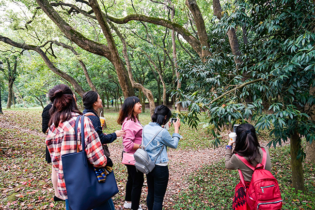 Ů��ڿ����