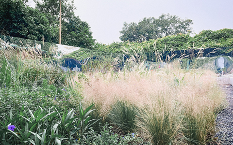 ��ҳ| 918�����ü����й��ٷ���վ