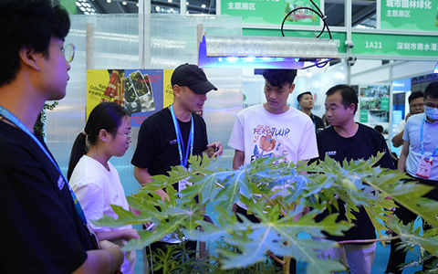 ��ҳ| 918�����ü����й��ٷ���վ