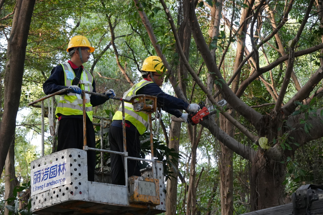 ��ҳ| 918�����ü����й��ٷ���վ