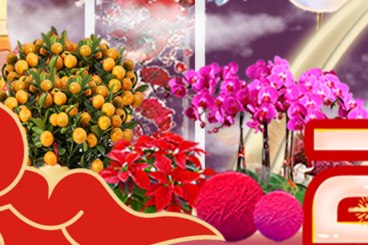 ��ҳ| 918�����ü����й��ٷ���վ