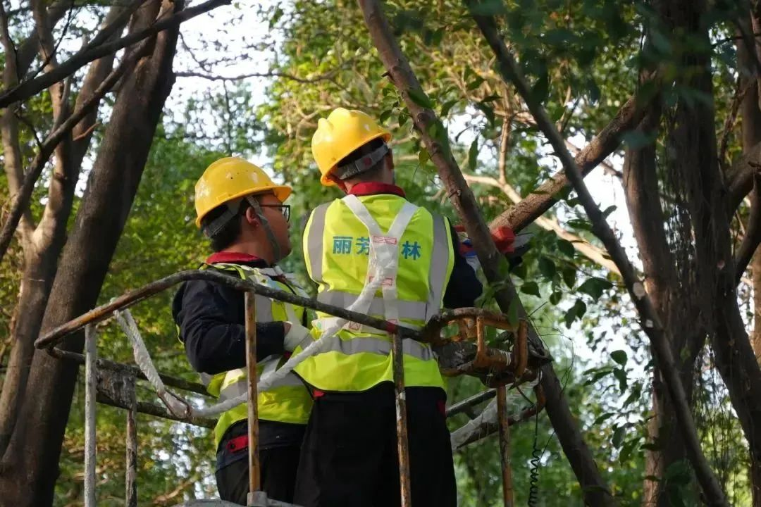 ��ҳ| 918�����ü����й��ٷ���վ