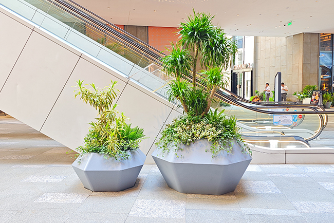 �̳��̻������ʩ��������������