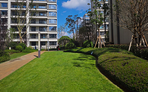 ��ҳ| 918�����ü����й��ٷ���վ