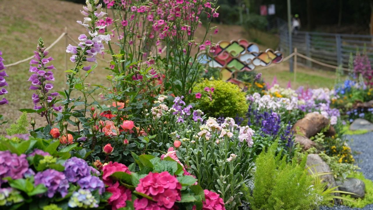 ��ҳ| 918�����ü����й��ٷ���վ