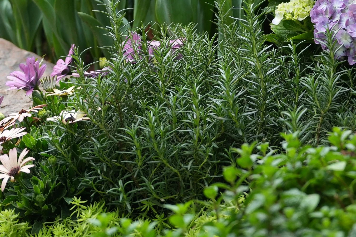 ��ҳ| 918�����ü����й��ٷ���վ