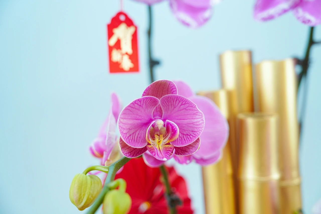 ��ҳ| 918�����ü����й��ٷ���վ