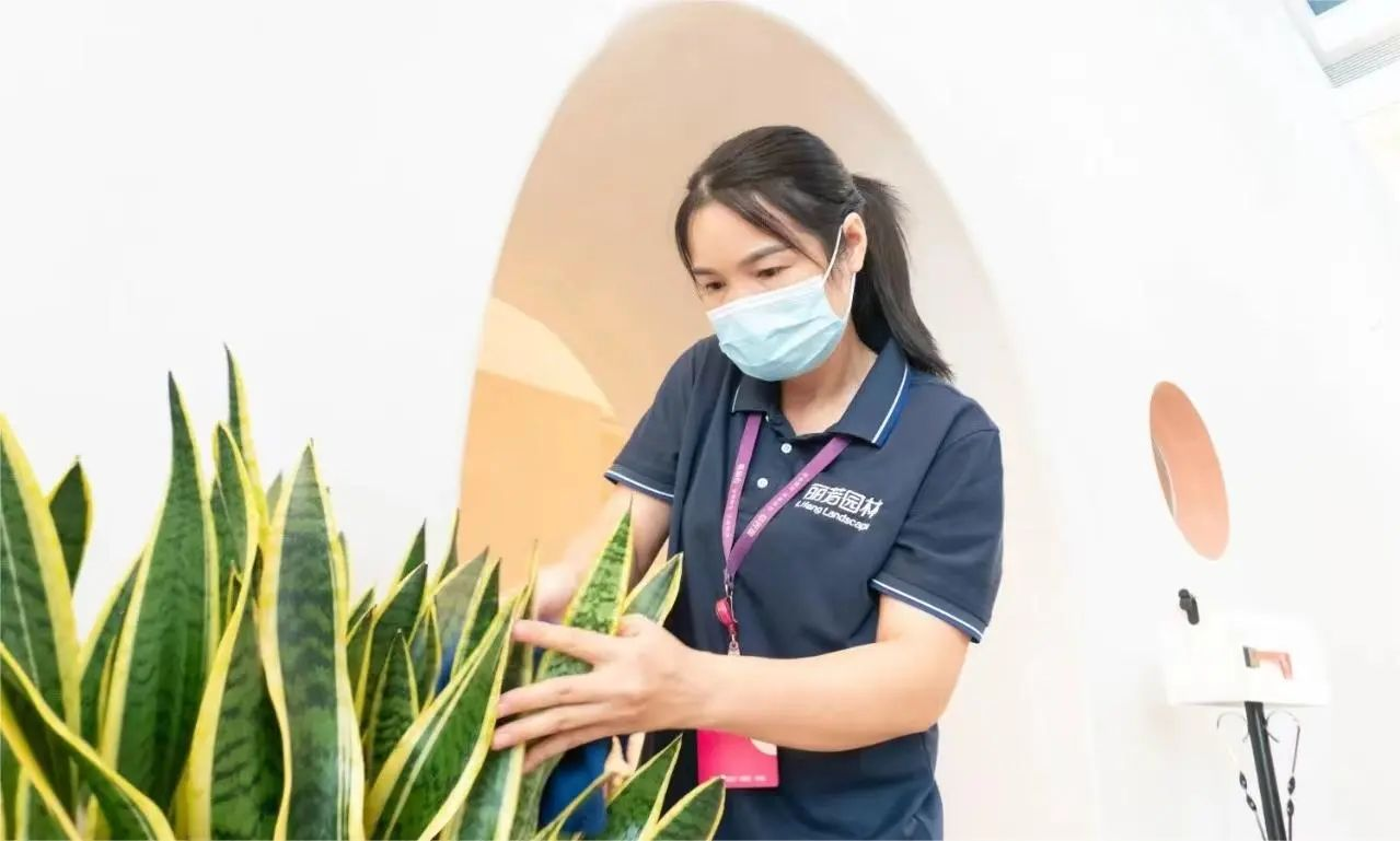 ��ҳ| 918�����ü����й��ٷ���վ