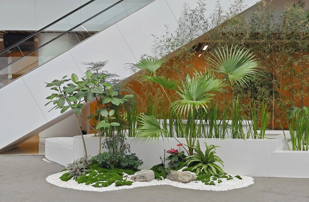 ��ҳ| 918�����ü����й��ٷ���վ