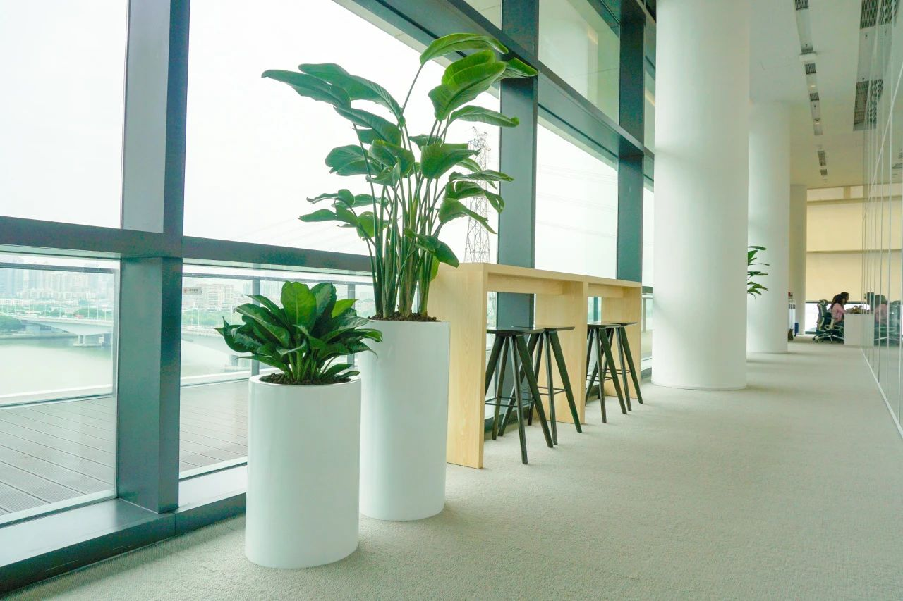 ��ҳ| 918�����ü����й��ٷ���վ