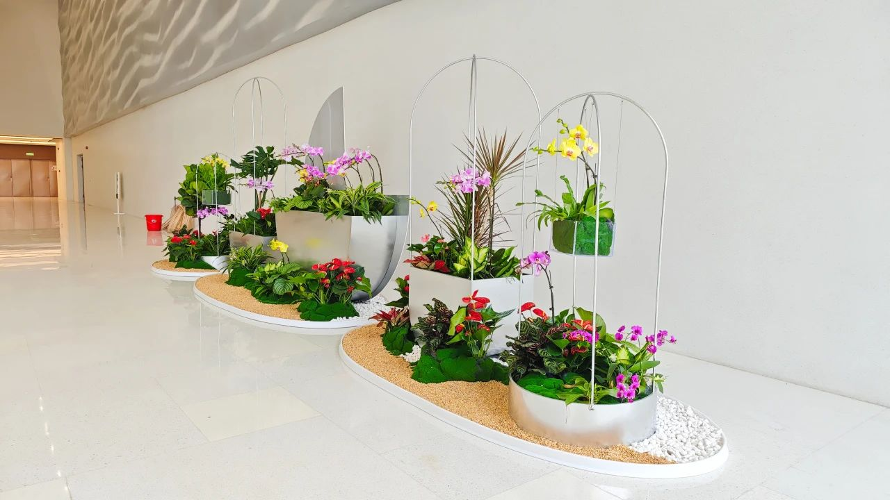 ��ҳ| 918�����ü����й��ٷ���վ